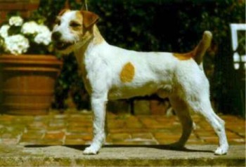 red-the-nock-rusty-never-the-last222